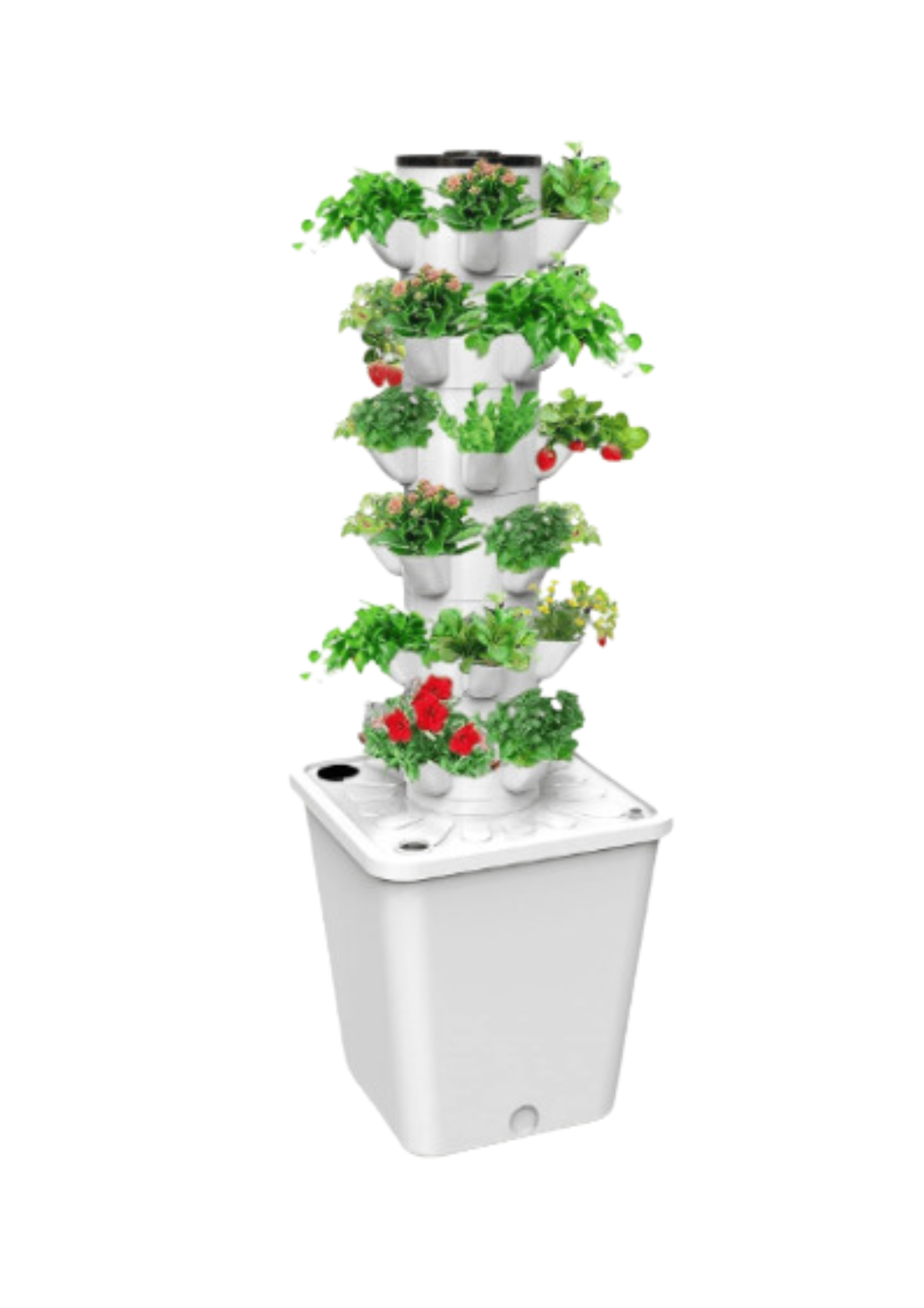 27744 TOUR HYDRO MINI-SP07 (15 TROUS) – Image 1