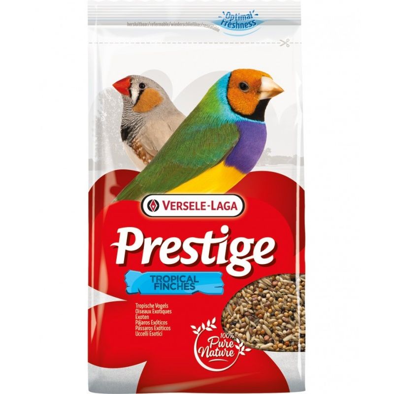 BIRD MELANGE DE GRAINES POUR OISEAUX EXOTIQUE 4KG #26680 (1) BIRD MELANGE DE GRAINES POUR OISEAUX EXO 4KG – Image 1